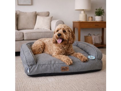 ChatGPT Image 26. 2. 2026, 14 00 46