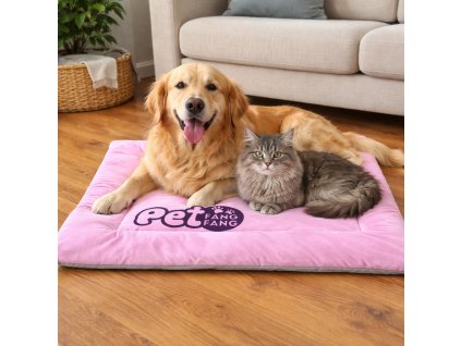 ChatGPT Image 3. 3. 2026, 11 48 45