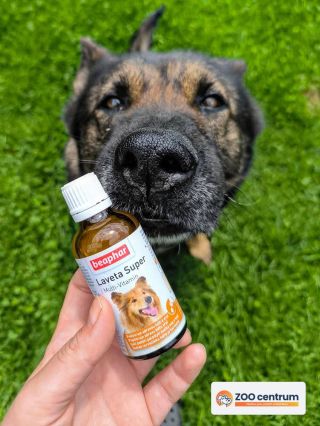 Mamka vie, čo je pre jej “dieťa”🐶 najlepšie. Beaphar Laveta Super Multi-Vitamín je skvelý doplnok pre vitalitu a lesklú...