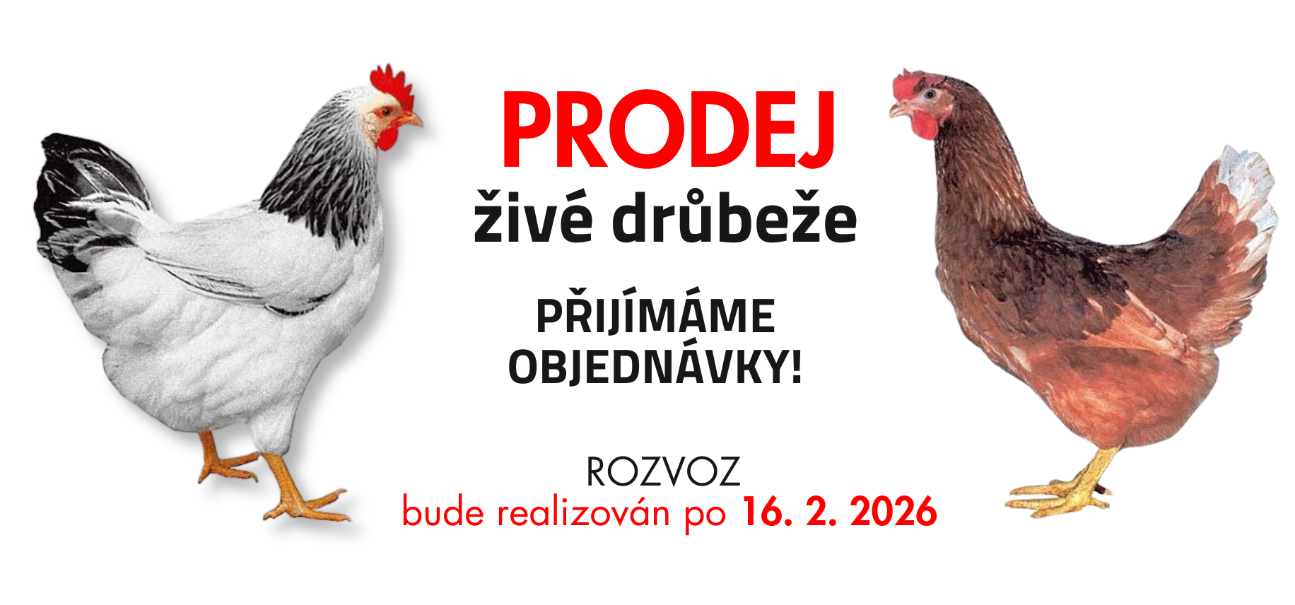 Rozvoz drůbeže 2026