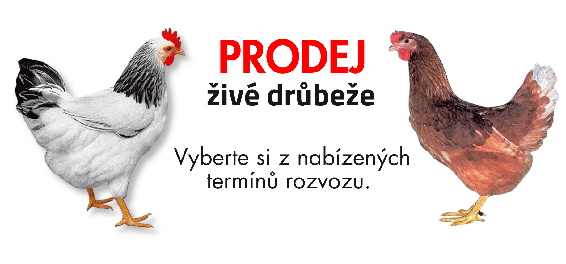 Různé termíny rozvozu