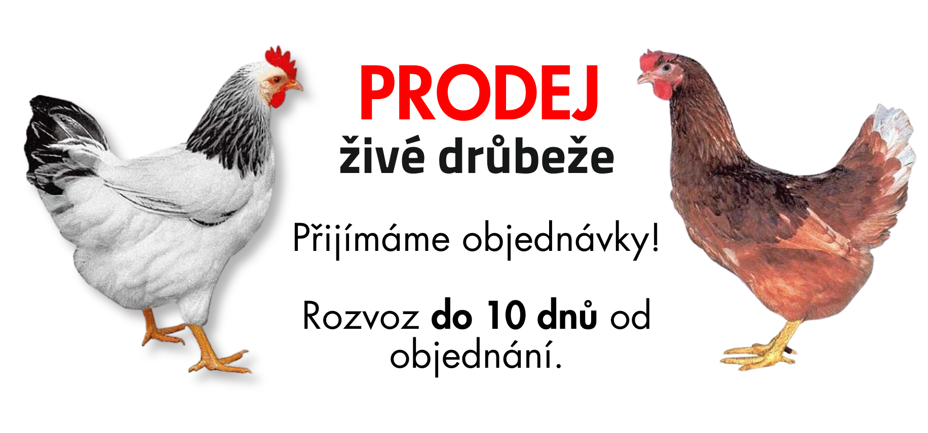 Kurice - 10 dnů od objednani