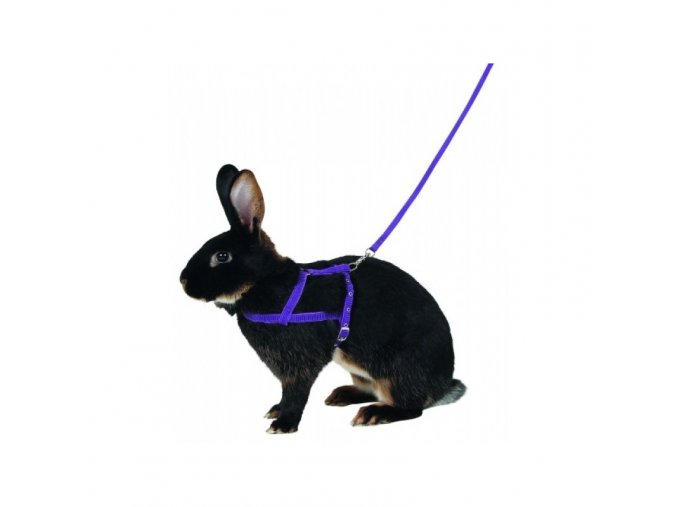 KERBL Postroj a vodítko pro králíka pro agility, 200 cm, M