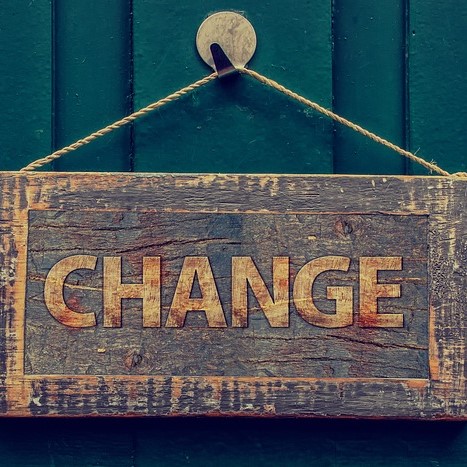 Seriál BARF 11 – Přechod z granulí na syrovou stravu