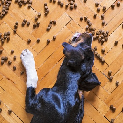 Bardog Super, Ultra, Hypo – zjistěte, co je za těmito názvy