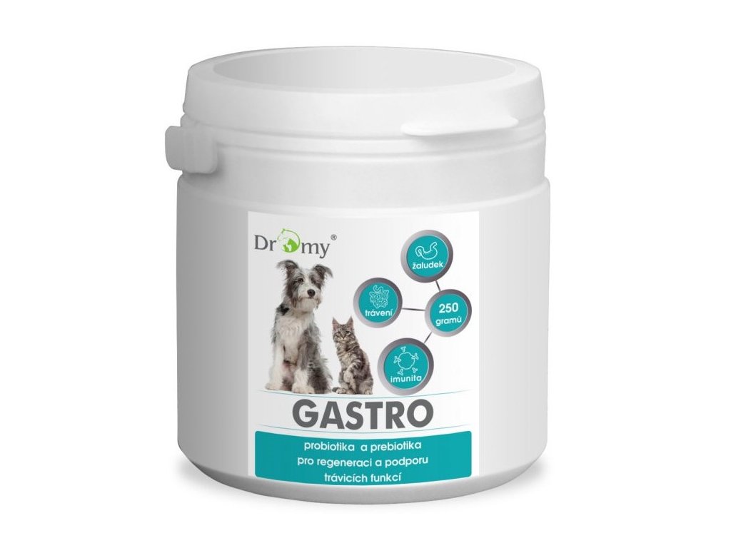 gastro