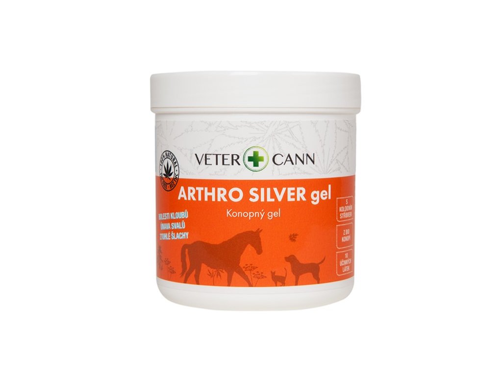 ARTHRO silver gel 250 ml rez