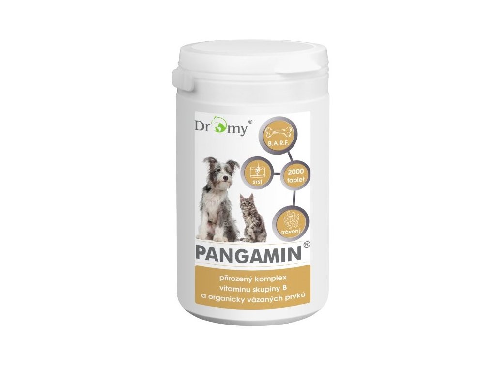 pangamin2000