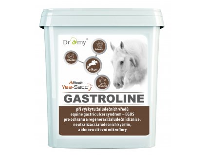 Dromy Gastroline