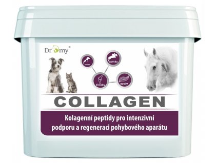 collagen 2500g