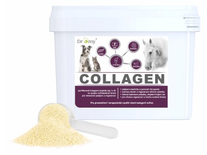 COLLAGENSKo2