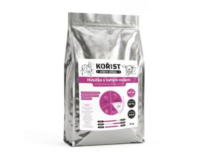 2026 vizualizace husička