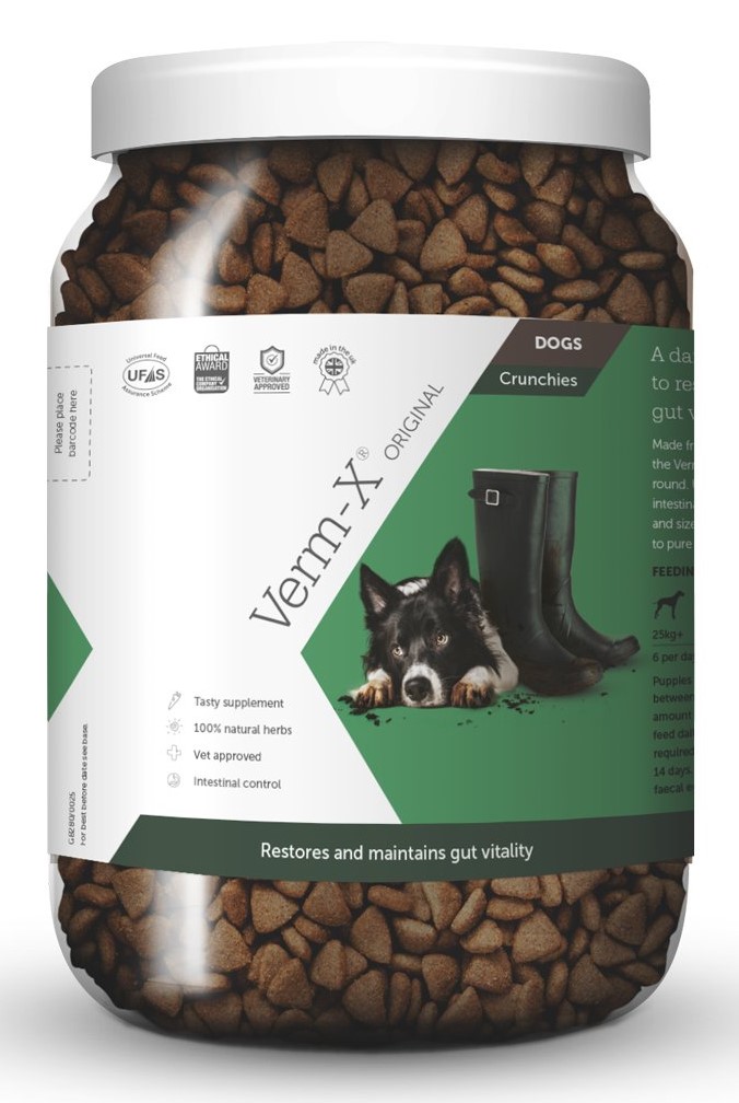Verm-X odčervovací prostředek pro psy 100 g balení: 650 g