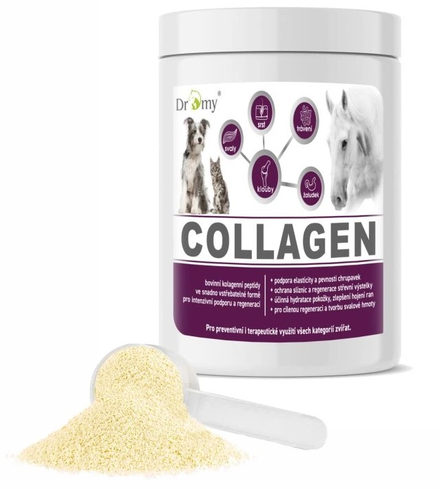 Dromy Collagen 900 g (30 dávek)