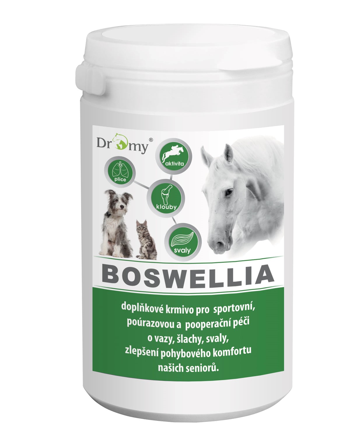 Dromy BOSWELLIA Serrata 750 g