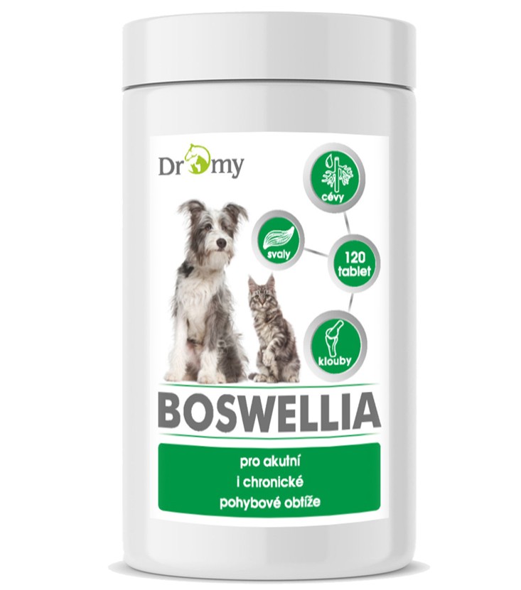 Dromy BOSWELLIA Forte 750 g