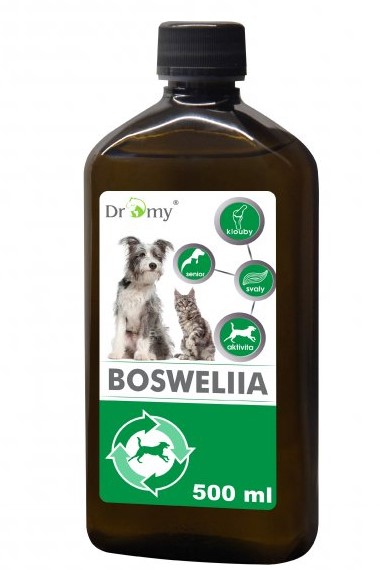 Dromy Boswellia liquid 500ml