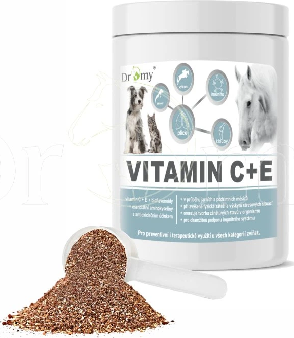 Dromy Vitamin B+C+E + Lysin 1500g