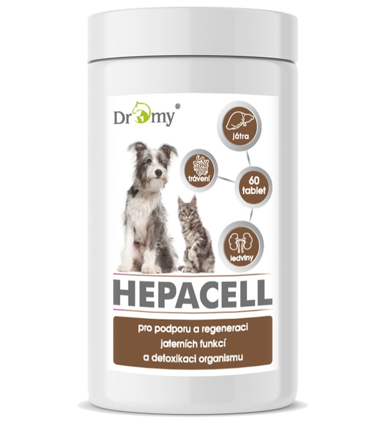 Dromy Hepacell 60 tbl.