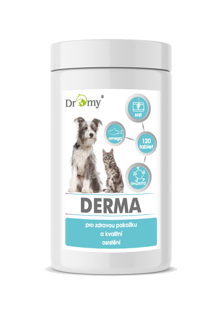 Dromy Derma 120 tbl.