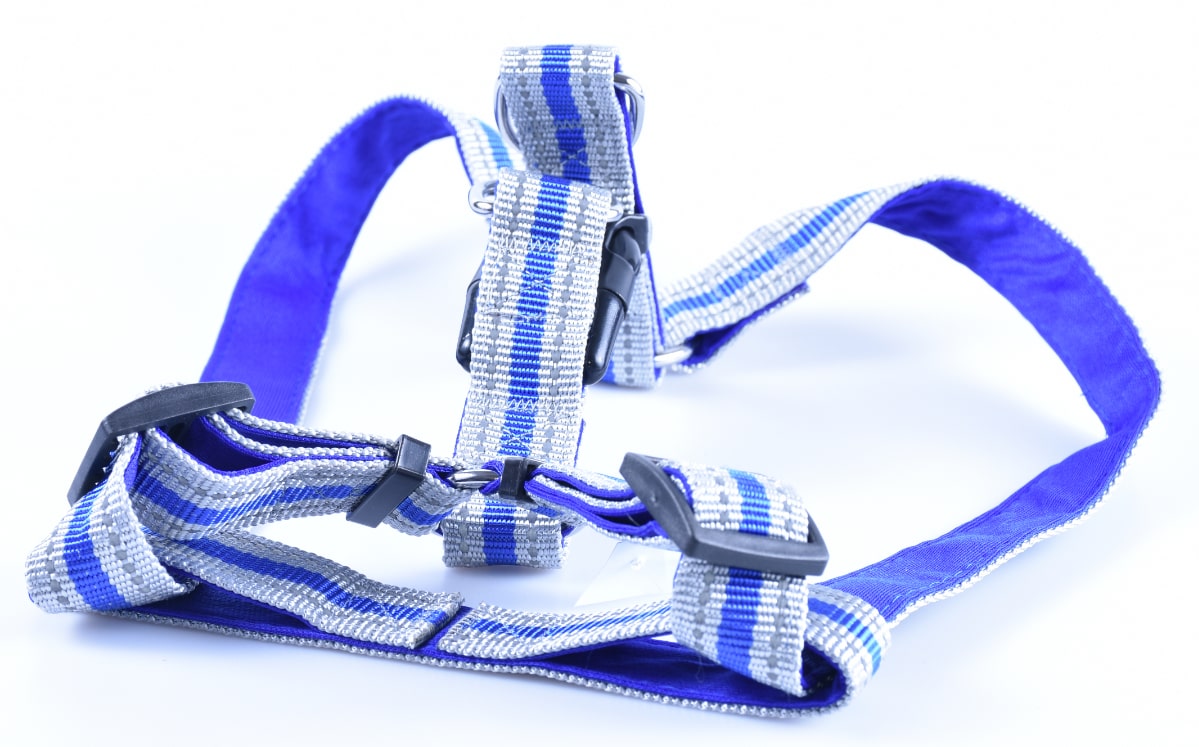 Sedlářství Dostálová Postroj reflexní vyztužený - sedlářství Dostál velikost: 25 mm/47–60cm modrý