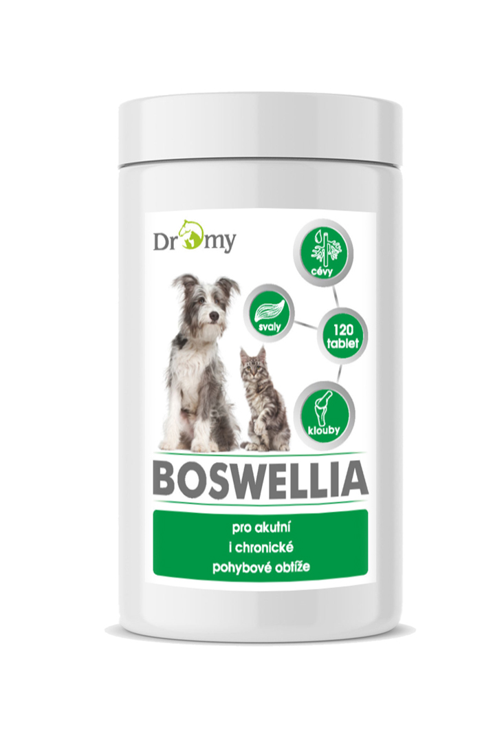 Dromy Boswellia 120 tbl.