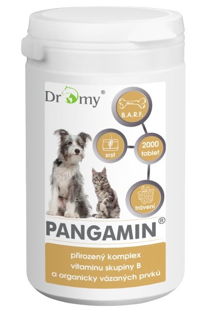 Dromy Pangamin tablety Kusů v balení: 800 tablet