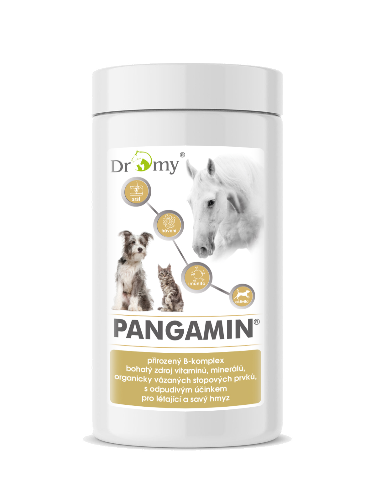 Dromy Pangamin tablety balení: Pangamin 2000 tablet