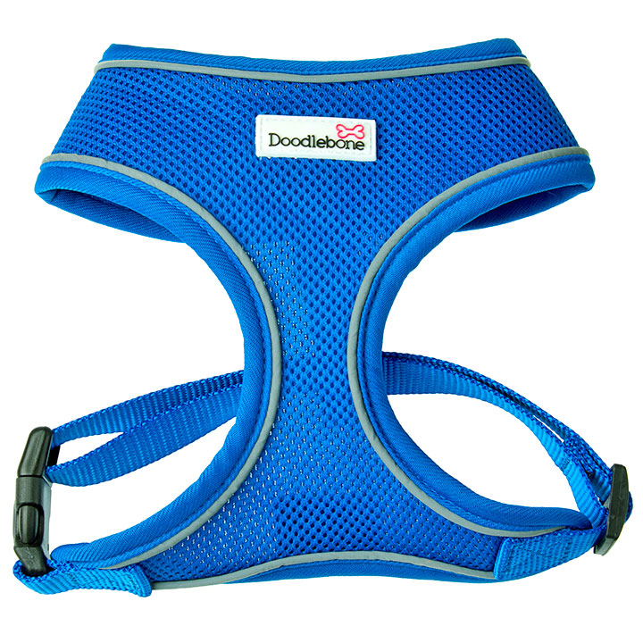 Doodlebone Postroj Airmesh Blue velikost: XL
