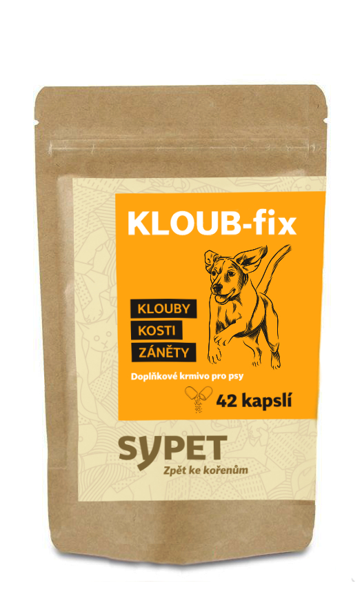 SYPET Kloub-fix 42 kapslí