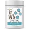 GASTRO