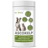 ascokelp pes uzka px