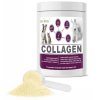 dromy collagen 900g