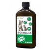 boswellia2