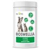 boswellia px pes nejmensi