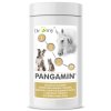 pangamin pes uzka px