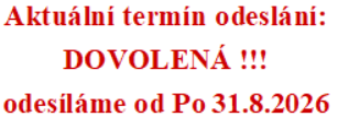 Termín
