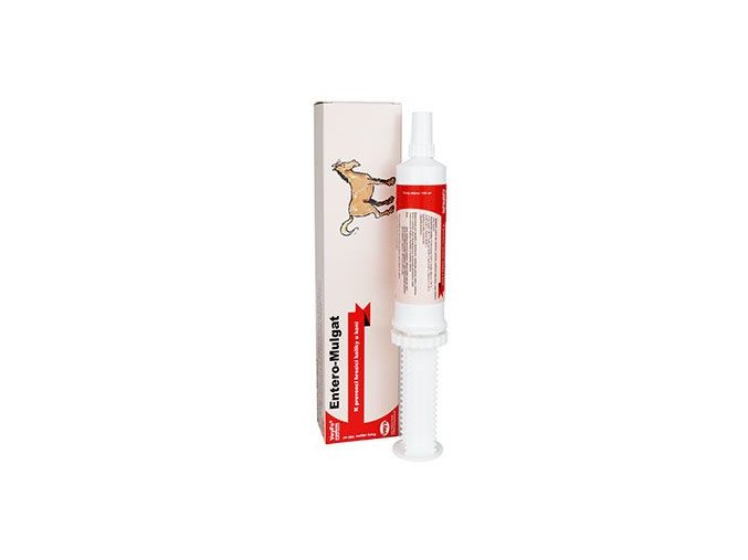 Entero Mulgat 100ml