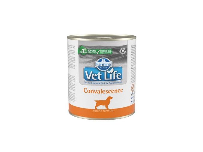 Vet Life Natural DOG konz. Convalescence 300g