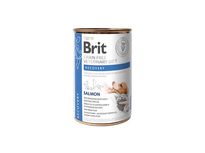 Brit VD Dog+Cat GF konz Recovery 400g