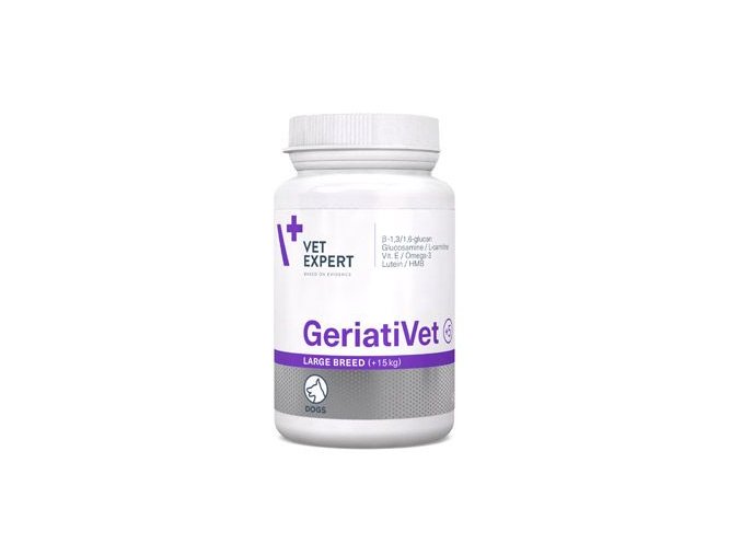 VetExpert GeriatiVet Dog Large Breed  DMT 6/26