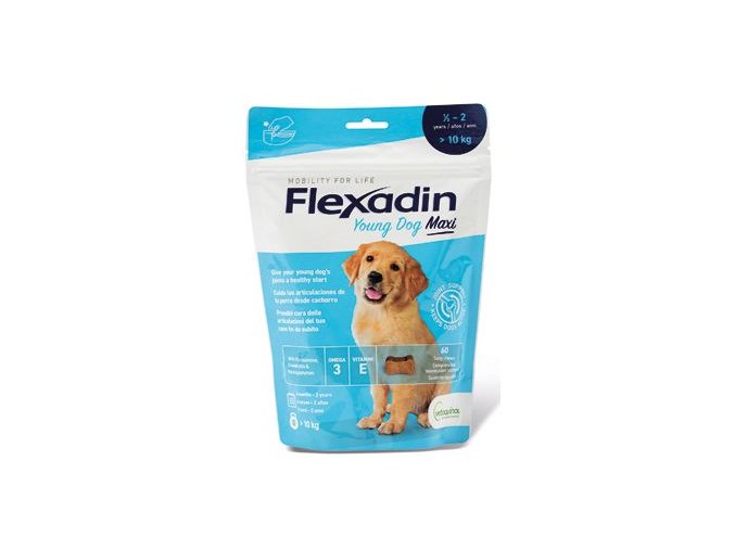 Flexadin Young Dog Maxi žvýkací 60tbl