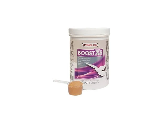 VL Oropharma Boost X5 500g