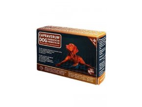 CAPRAVERUM DOG probioticum-prebioticum 30tbl