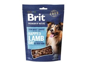 Brit Premium Dog by Nature SM Snacks Lamb 180g