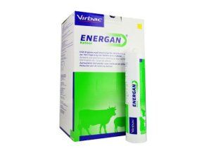 Energan Ketose 12x300g