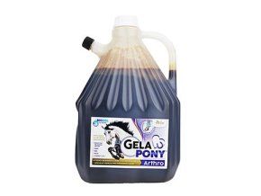 Gelapony Arthro Biosol 3000ml
