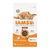 Iams Cat Adult Indoor Chicken 2kg