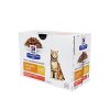 Hill's Fel. PD C/D MultiCare Salmon kapsa 12x85g