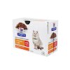 Hill's Fel. PD C/D Urinary Stress Chick. kapsa 12x85g
